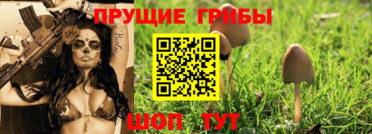 Псилоцибиновые грибы MAGIC MUSHROOMS Новоалександровск