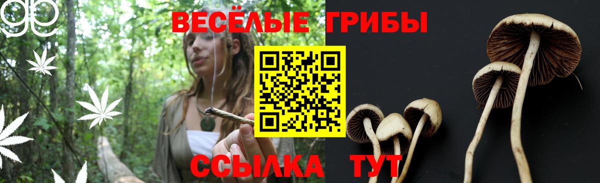Новоалександровск  Галлюциногенные грибы мухоморы  Вход с VPN 